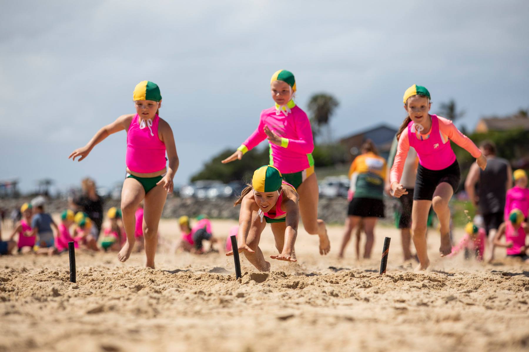Sport and Nippers Update